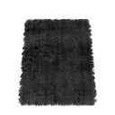 Carpet Image